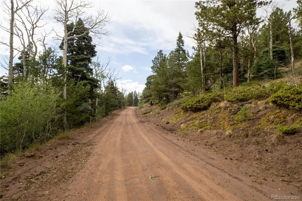 Lot 2797 Moir Drive Fort Garland, CO 81133
