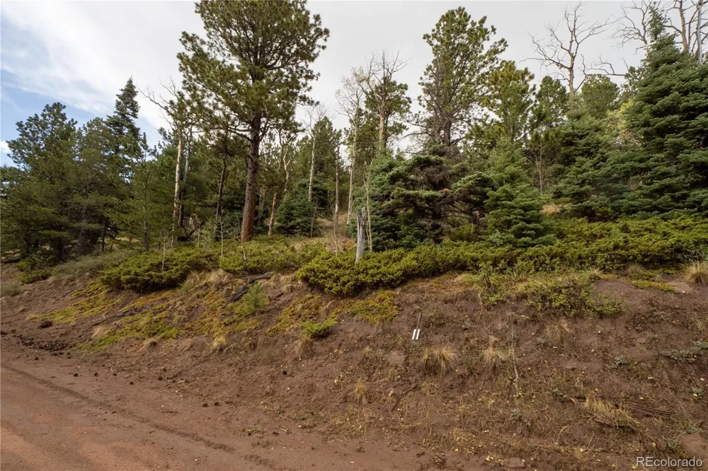 Lot 2797 Moir Drive Fort Garland, CO 81133