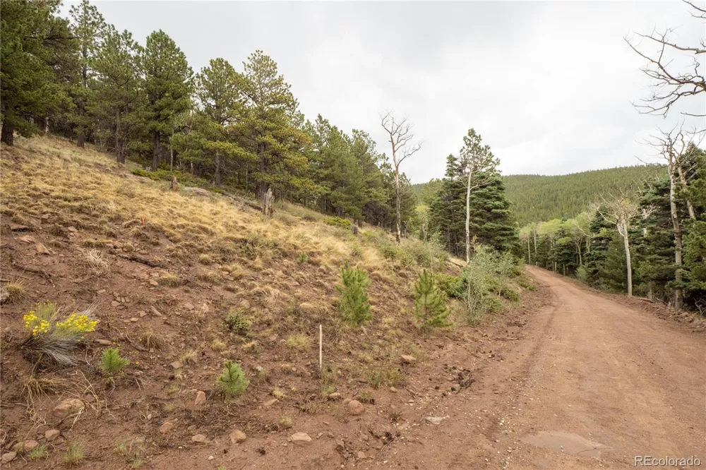 Lot 2797 Moir Drive Fort Garland, CO 81133