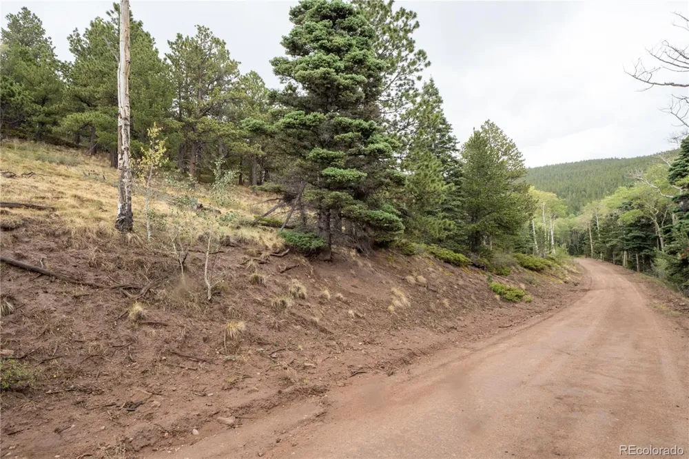 Lot 2797 Moir Drive Fort Garland, CO 81133