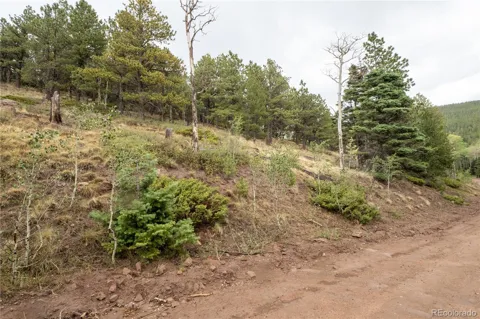 Lot 2797 Moir Drive