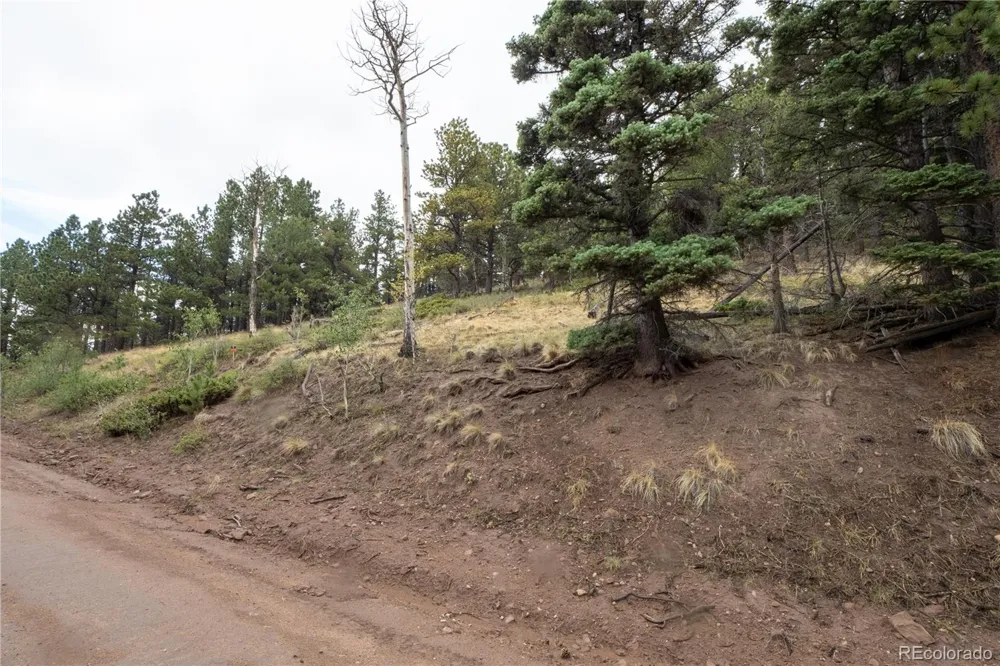 Lot 2797 Moir Drive Fort Garland, CO 81133