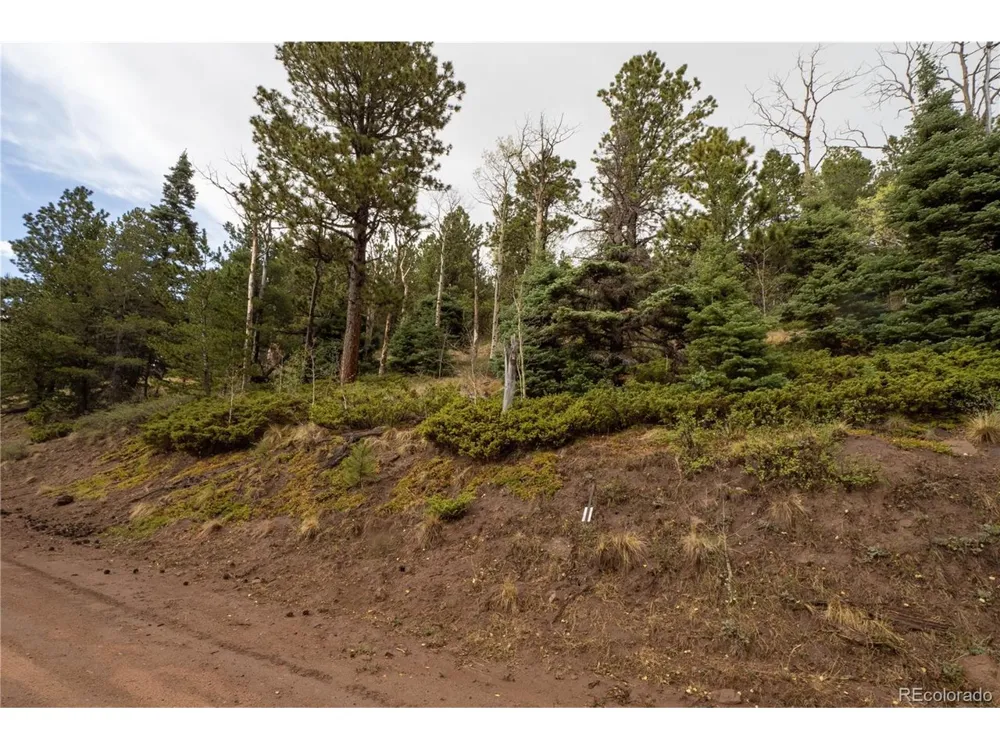 2797 Moir Drive Fort Garland, CO 81133