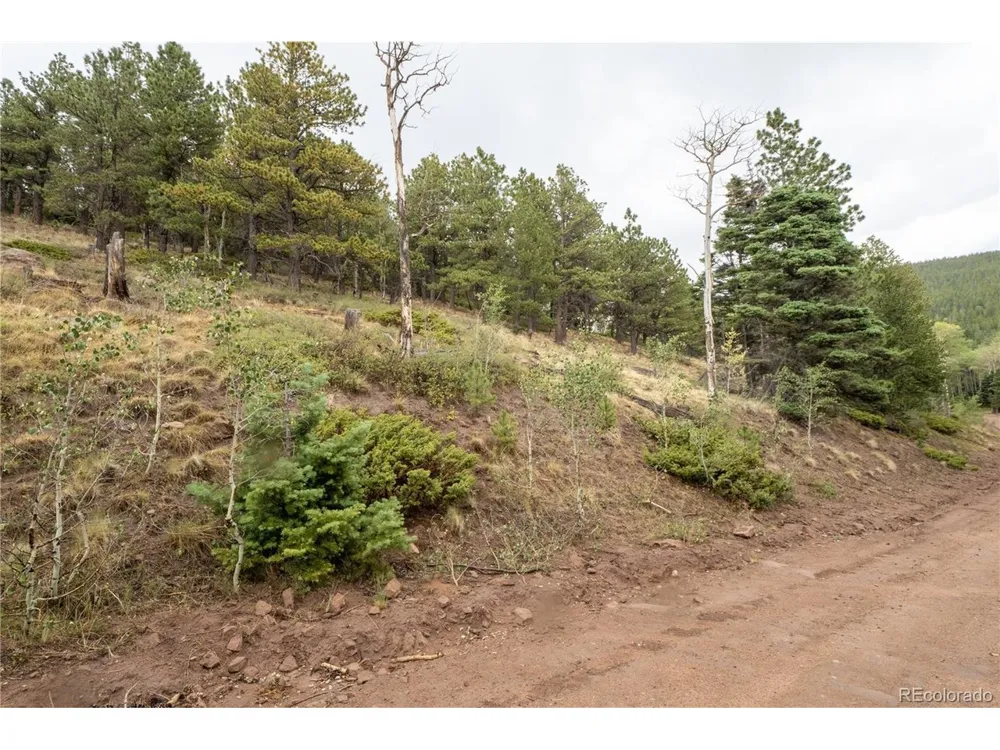 2797 Moir Drive Fort Garland, CO 81133