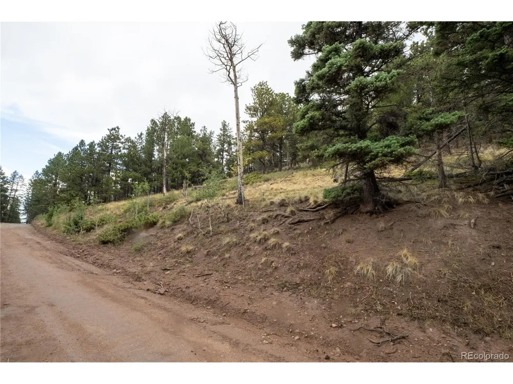 2797 Moir Drive Fort Garland, CO 81133