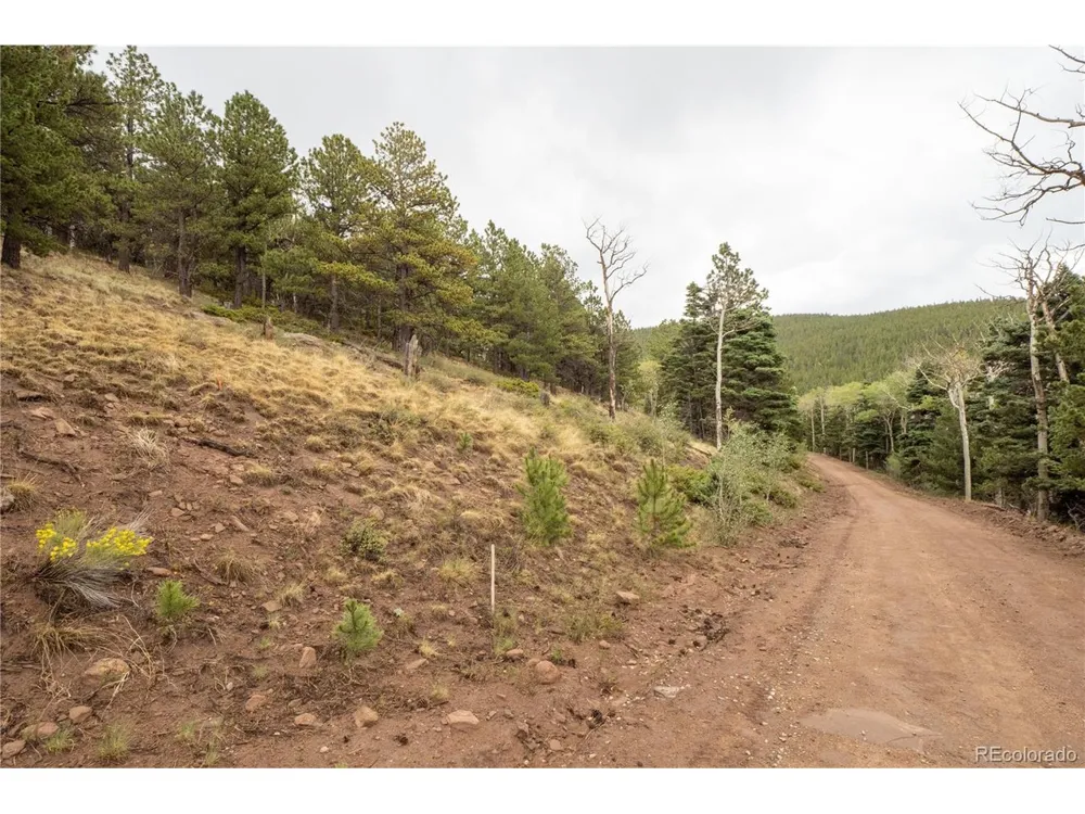2797 Moir Drive Fort Garland, CO 81133