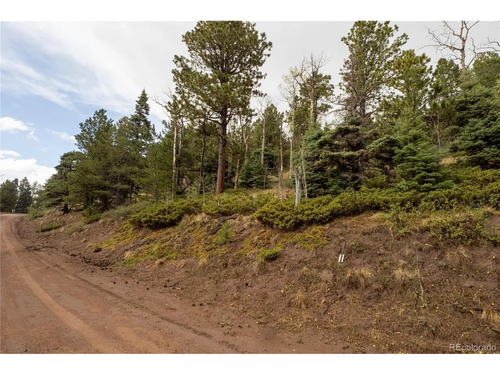 2797 Moir Drive Fort Garland, CO 81133