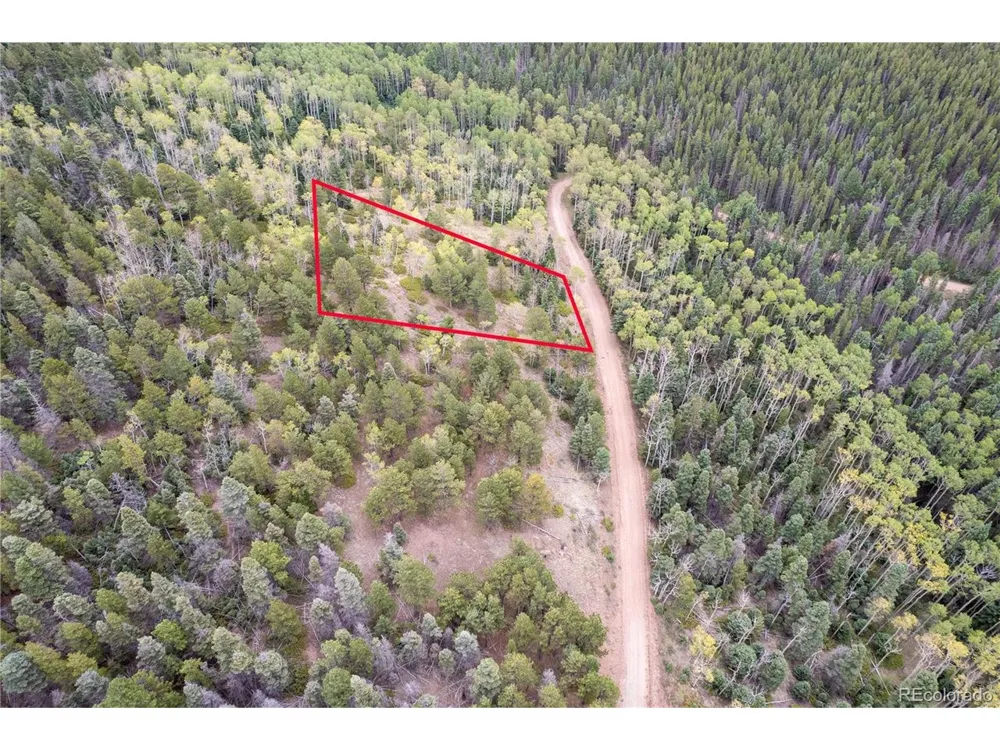 2797 Moir Drive Fort Garland, CO 81133
