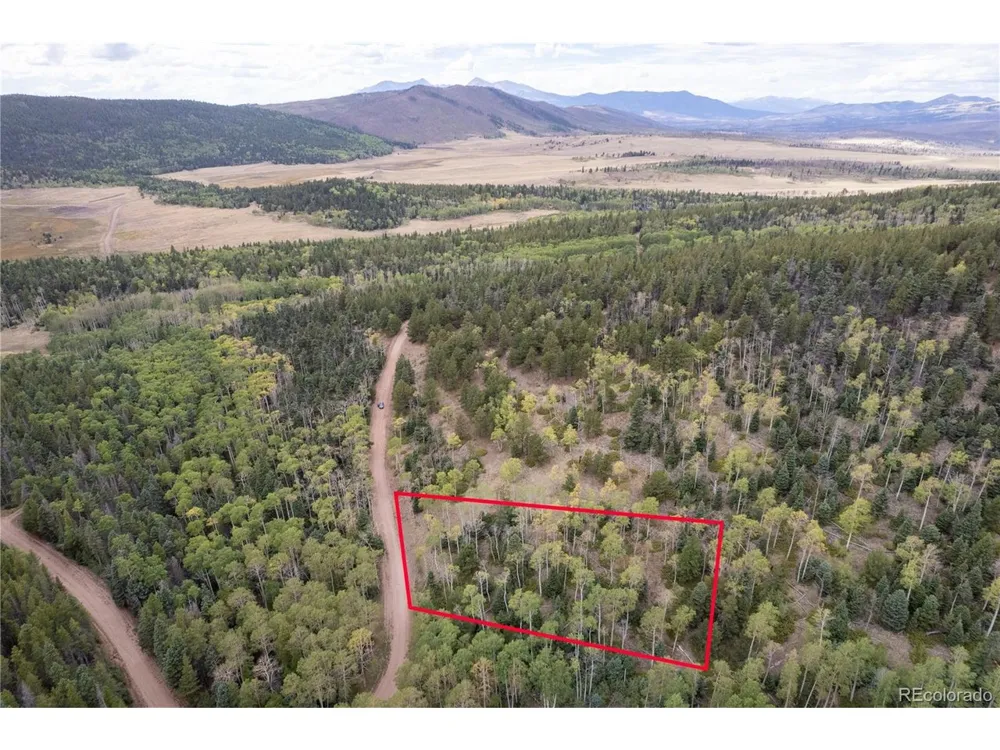 2797 Moir Drive Fort Garland, CO 81133