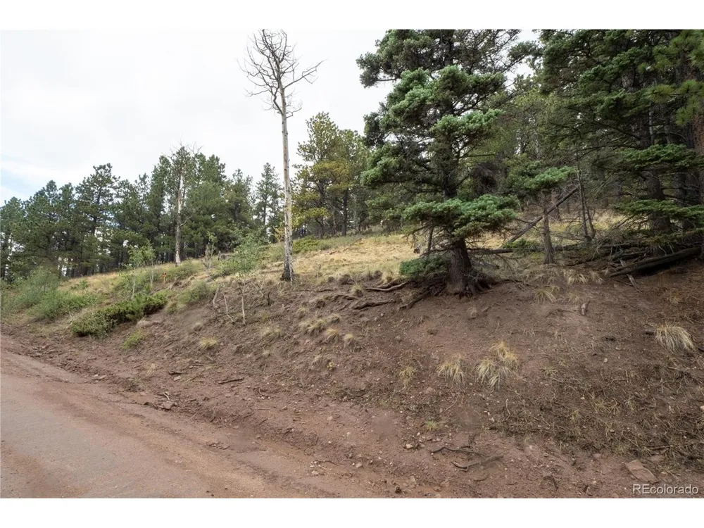 2797 Moir Drive Fort Garland, CO 81133