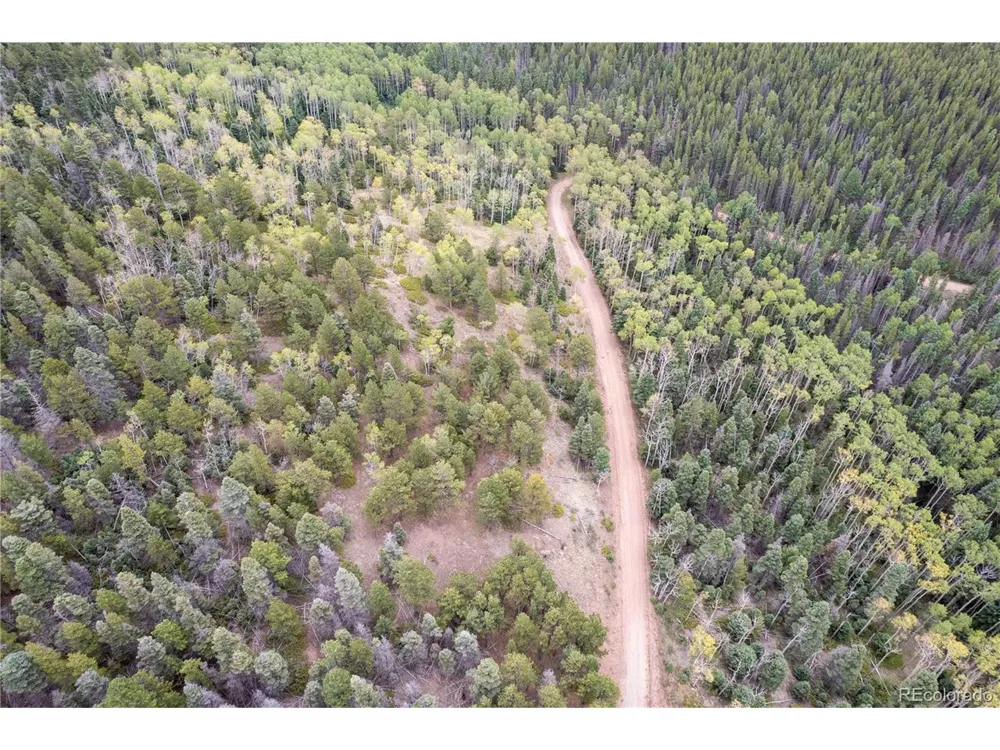 2797 Moir Drive Fort Garland, CO 81133