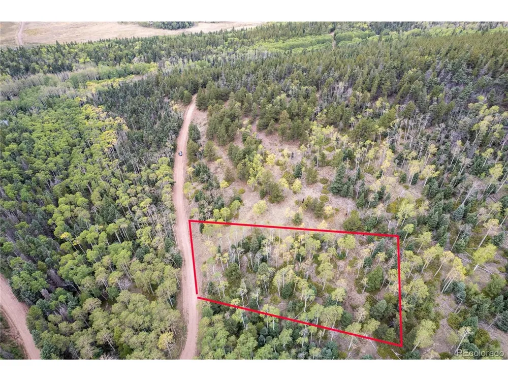 2797 Moir Drive Fort Garland, CO 81133