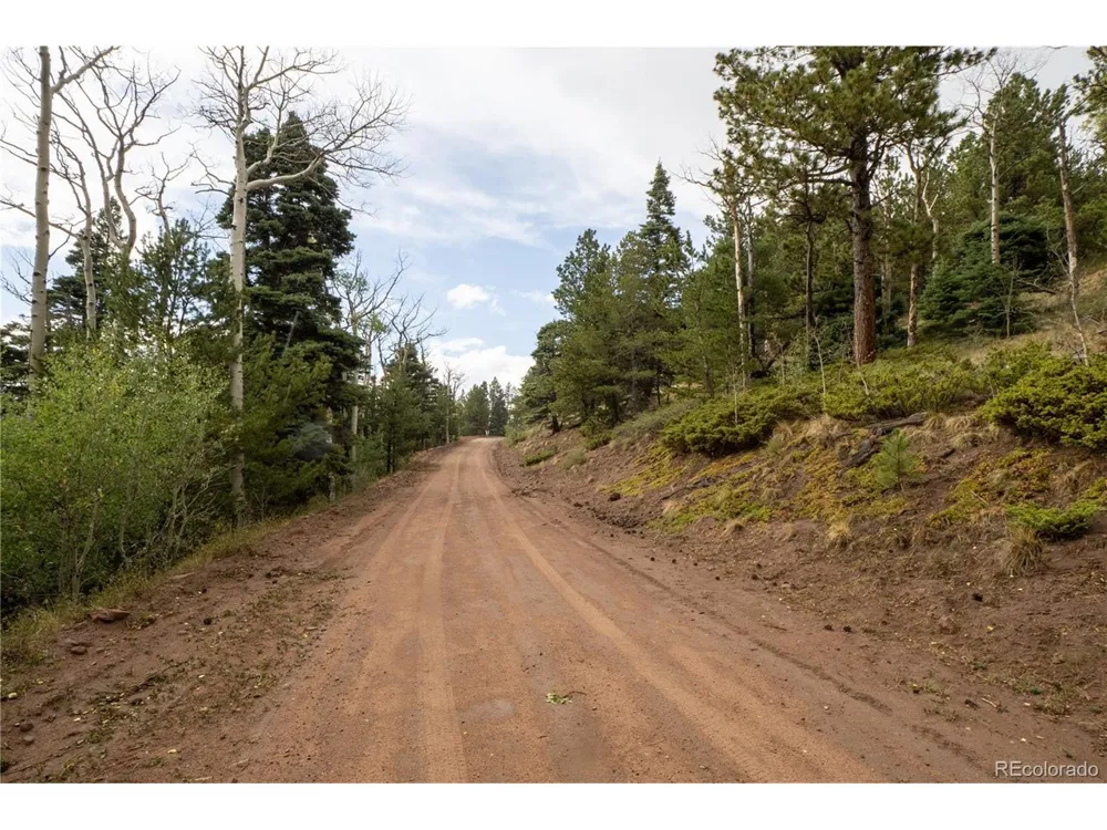 2797 Moir Drive Fort Garland, CO 81133