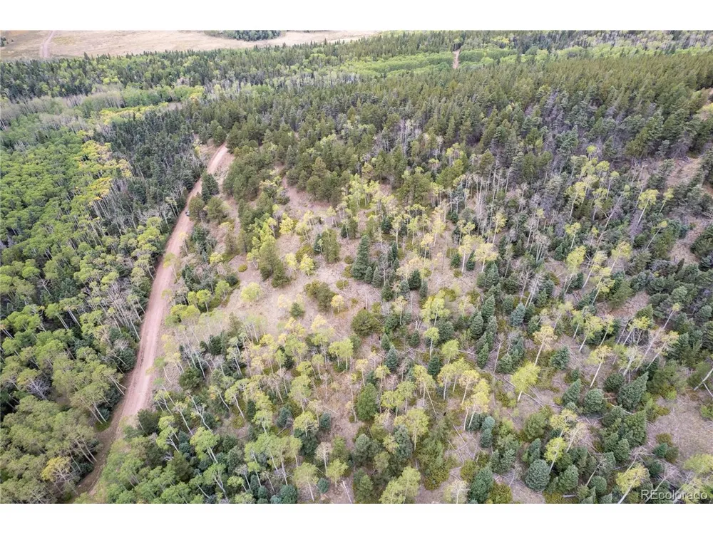 2797 Moir Drive Fort Garland, CO 81133