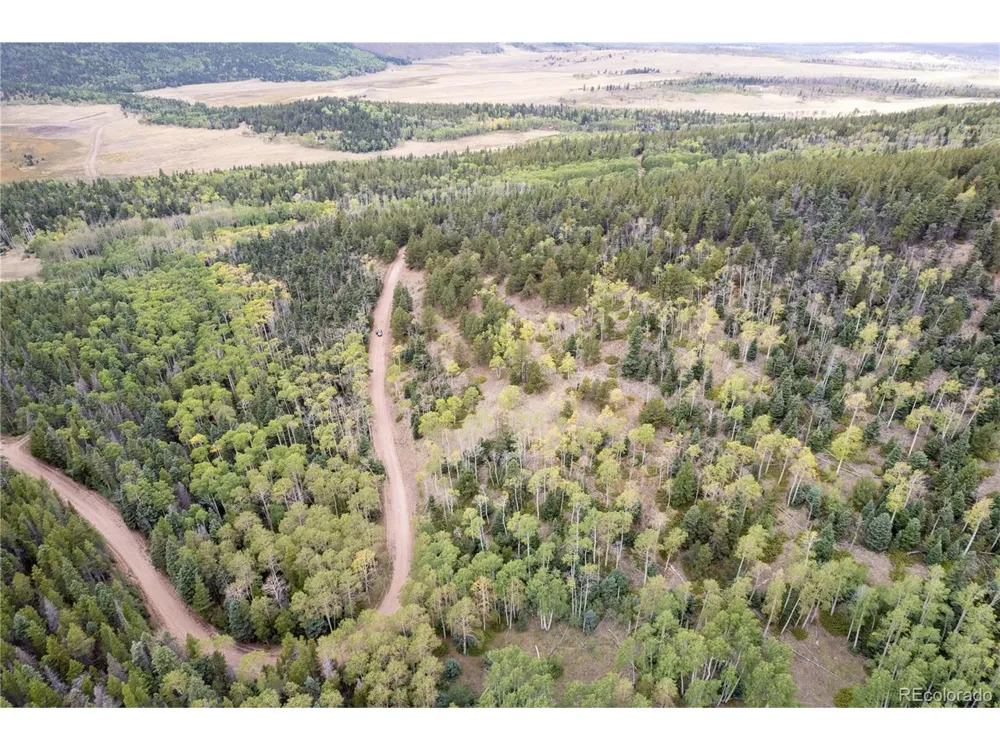 2797 Moir Drive Fort Garland, CO 81133