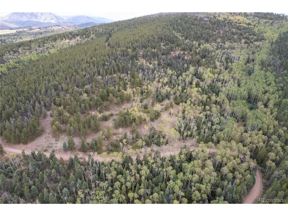 2797 Moir Drive Fort Garland, CO 81133