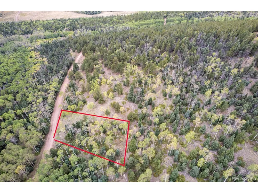2797 Moir Drive Fort Garland, CO 81133
