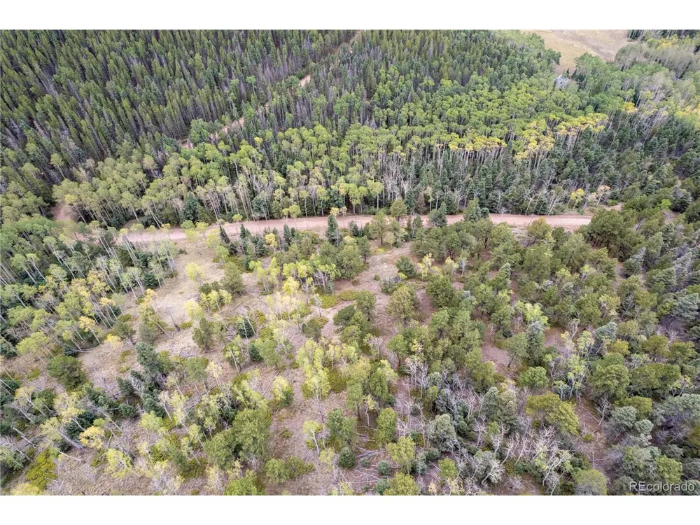 2797 Moir Drive Fort Garland, CO 81133