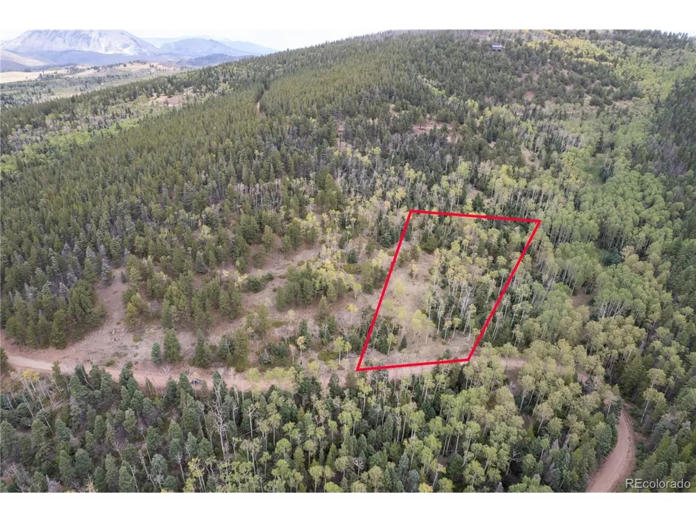 2797 Moir Drive Fort Garland, CO 81133
