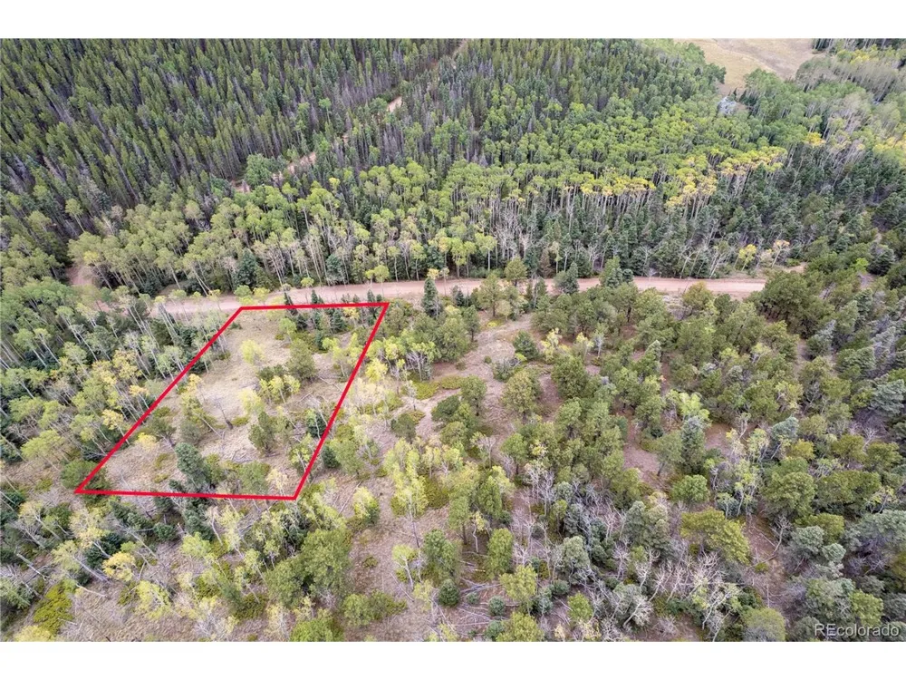 2797 Moir Drive Fort Garland, CO 81133