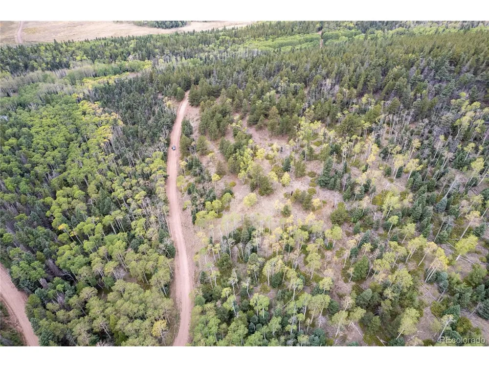 2797 Moir Drive Fort Garland, CO 81133