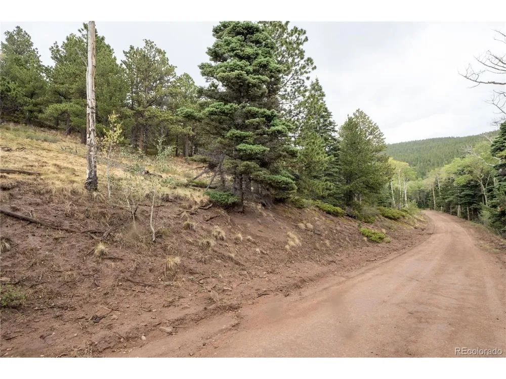 2797 Moir Drive Fort Garland, CO 81133