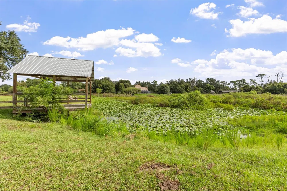 19601 EAGLE CREST DRIVE Lutz, FL 33549