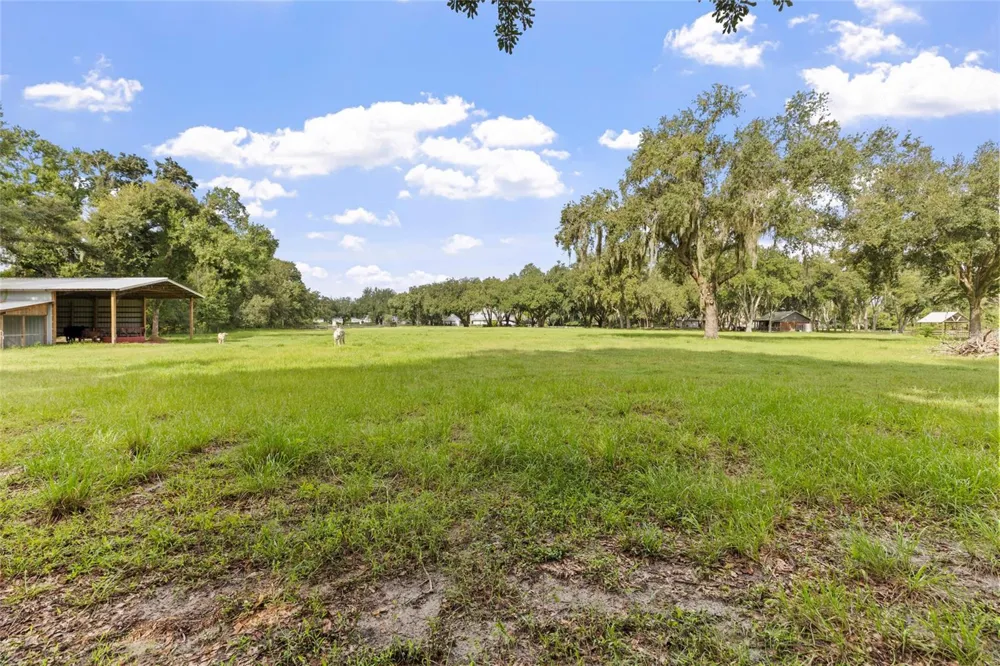 19601 EAGLE CREST DRIVE Lutz, FL 33549
