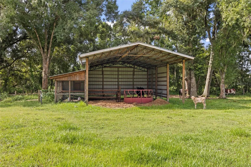 19601 EAGLE CREST DRIVE Lutz, FL 33549