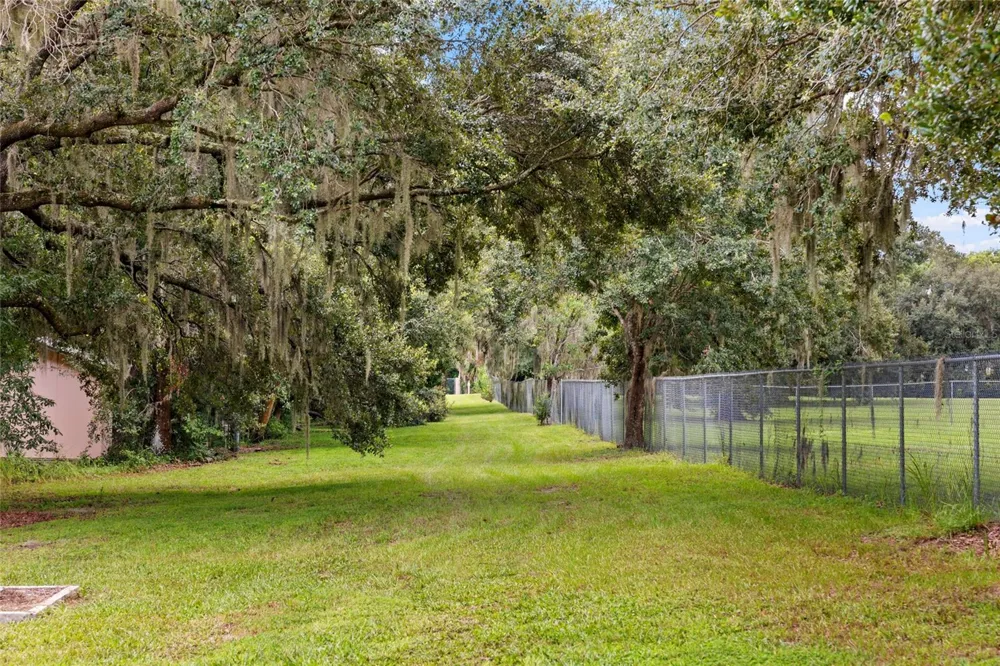 19601 EAGLE CREST DRIVE Lutz, FL 33549