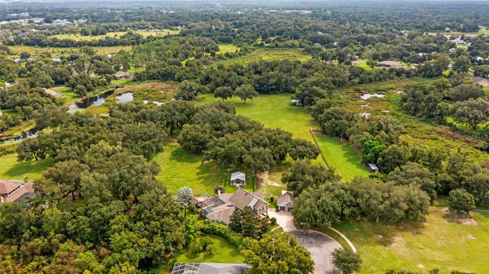 19601 EAGLE CREST DRIVE Lutz, FL 33549