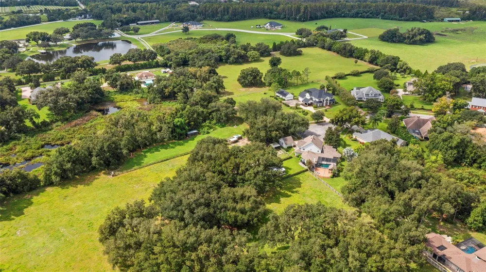 19601 EAGLE CREST DRIVE Lutz, FL 33549