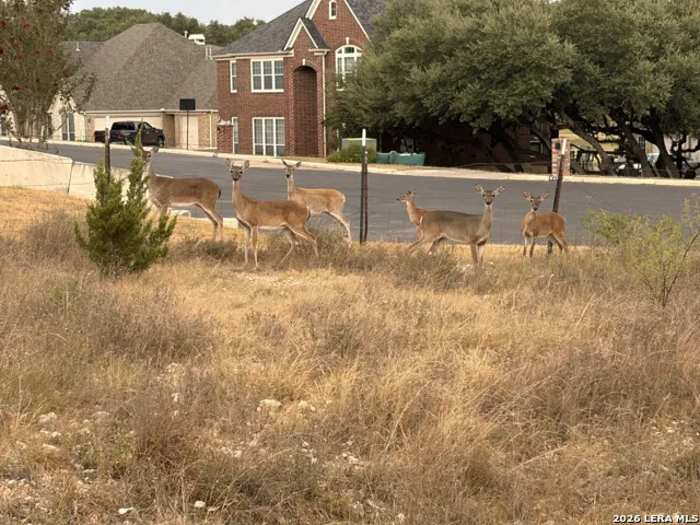 27915 LOKAYA FLS Boerne, TX 78015