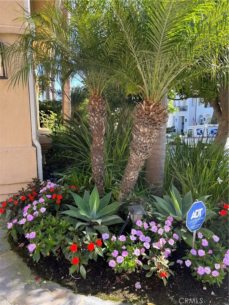 30902 Via Ultimo San Juan Capistrano, CA 92675