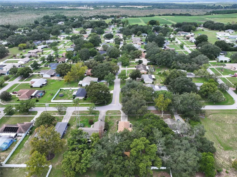 36618 DORAL DRIVE Grand Island, FL 32735