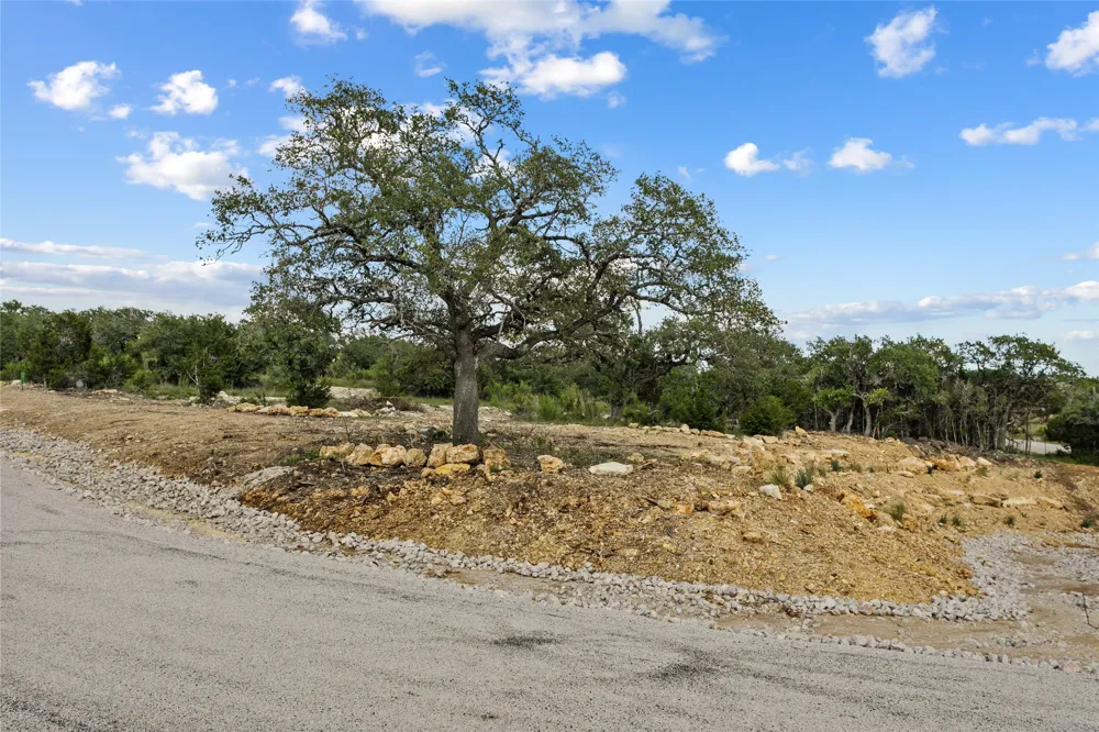 8 Sunset View Court Johnson City, TX 78636