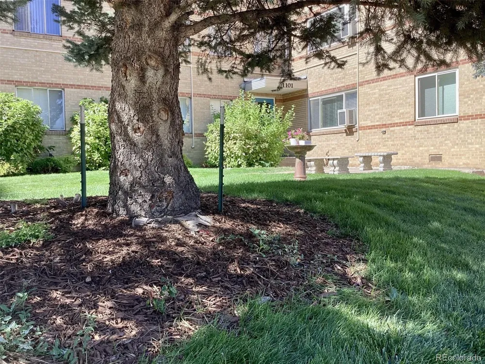 1101 Bellaire Street #108 Denver, CO 80220