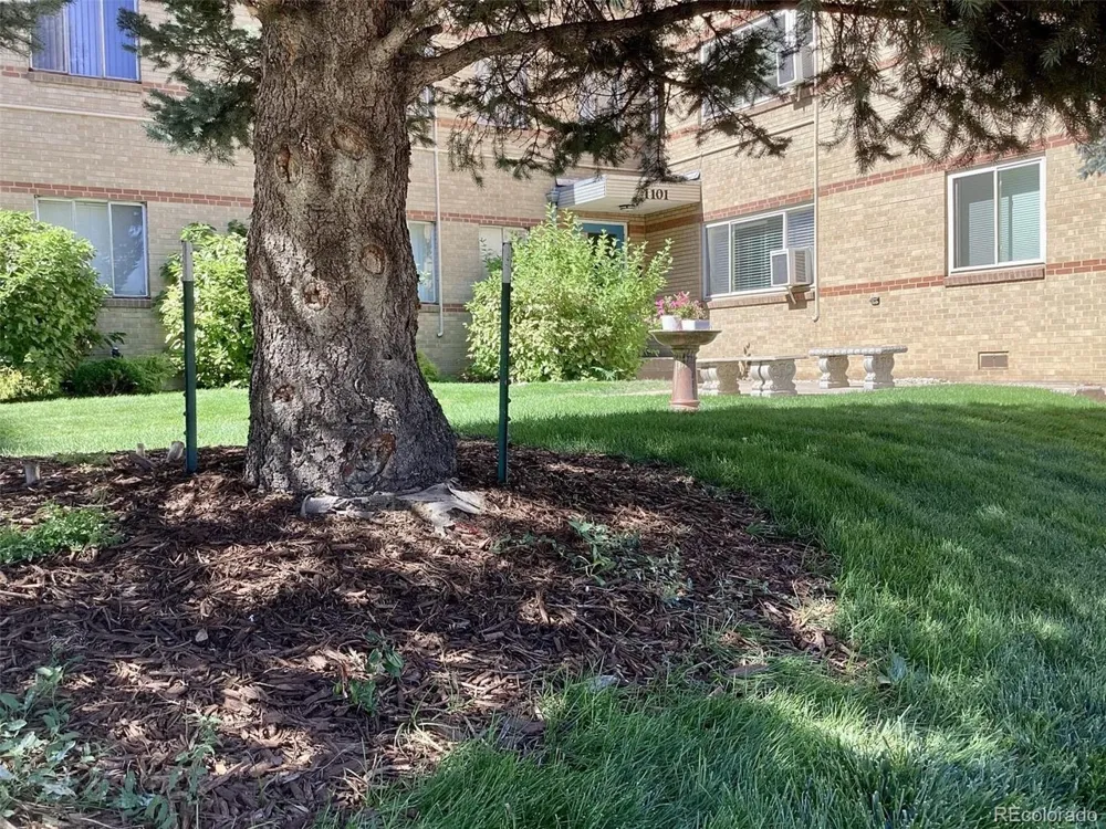 1101 Bellaire Street #108 Denver, CO 80220