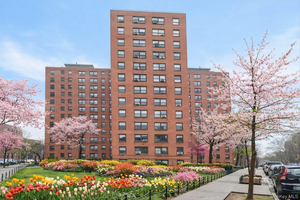 99-32 66 ROAD #5W Rego Park, NY 11374