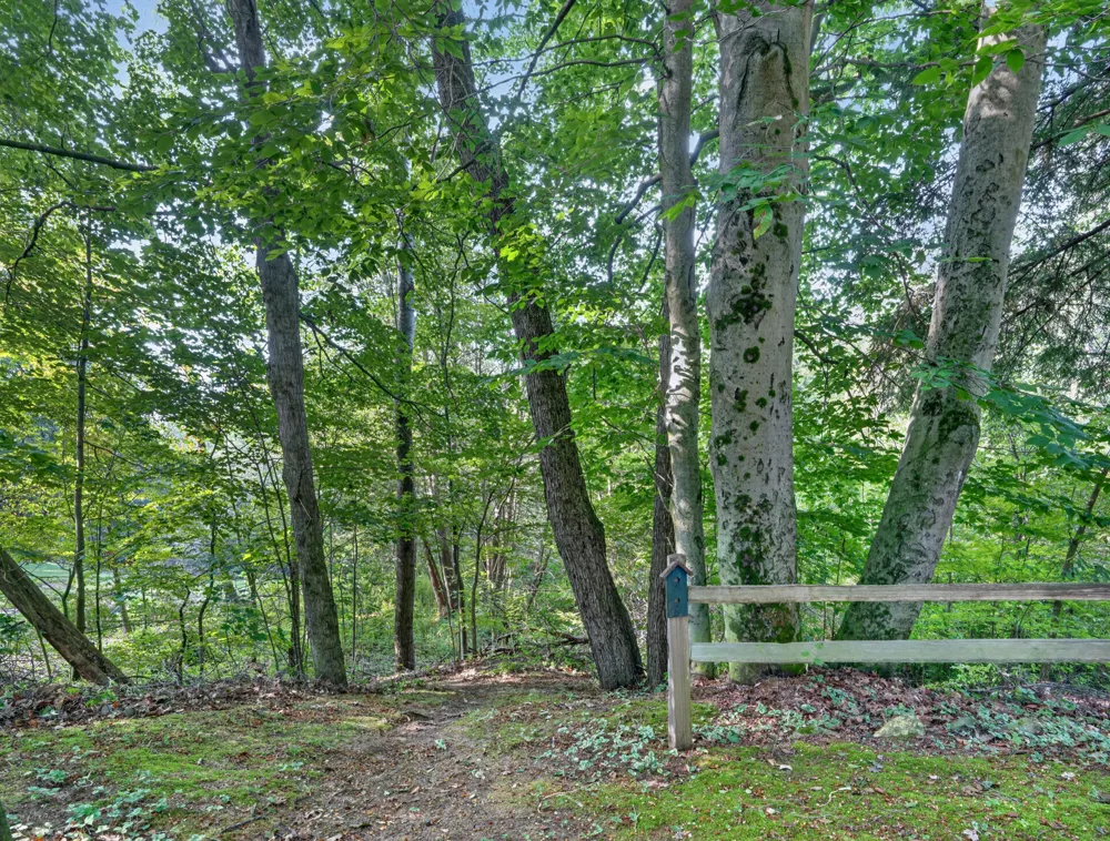 3681 S Cobmoosa Trail Hesperia, MI 49421