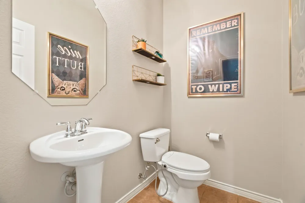 909 Charleston Lane Savannah, TX 76227