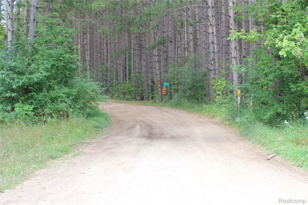 5799 Goodar Road Goodar Township, MI 48761