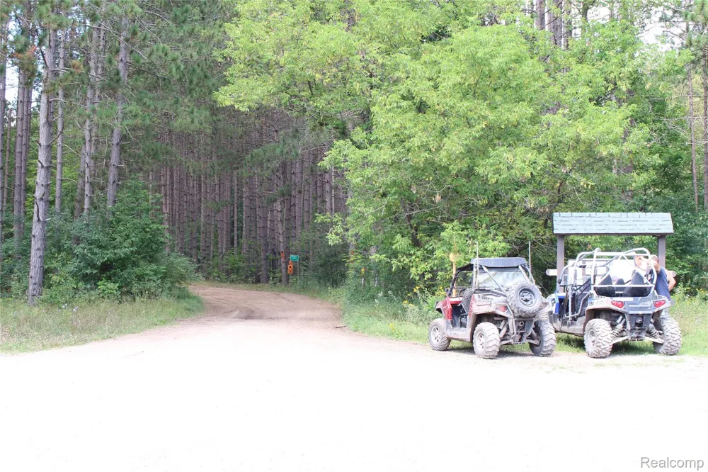 5799 Goodar Road Goodar Township, MI 48761