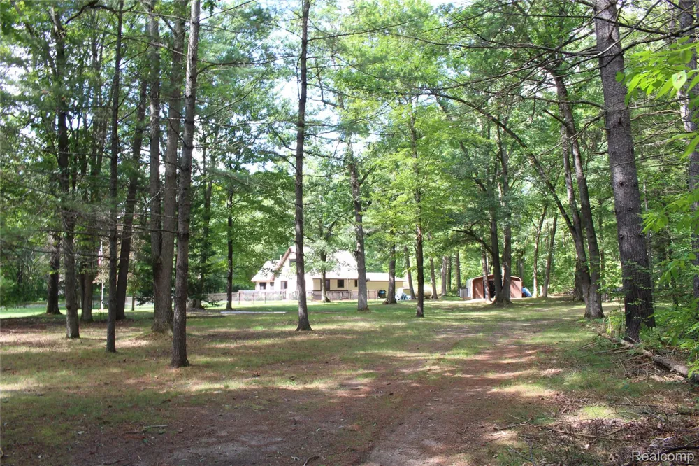 5799 Goodar Road Goodar Township, MI 48761