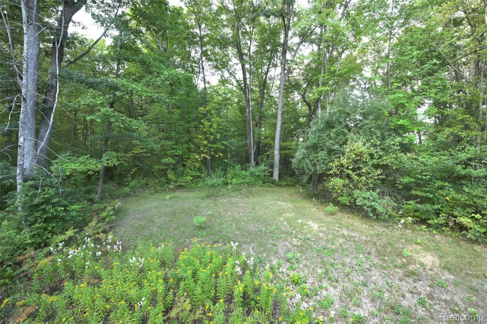 5799 Goodar Road Goodar Township, MI 48761