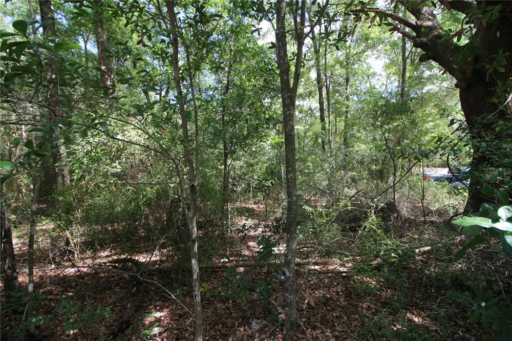 WASHINGTON STREET Milton, FL 32570