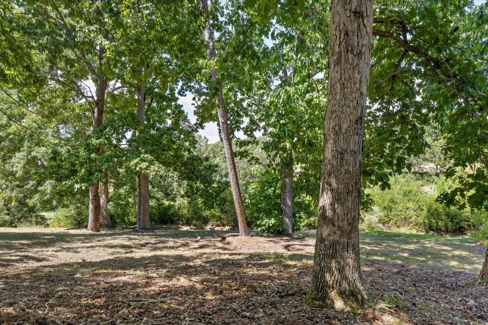 5937 Rainbow Springs Drive Chattanooga, TN 37416
