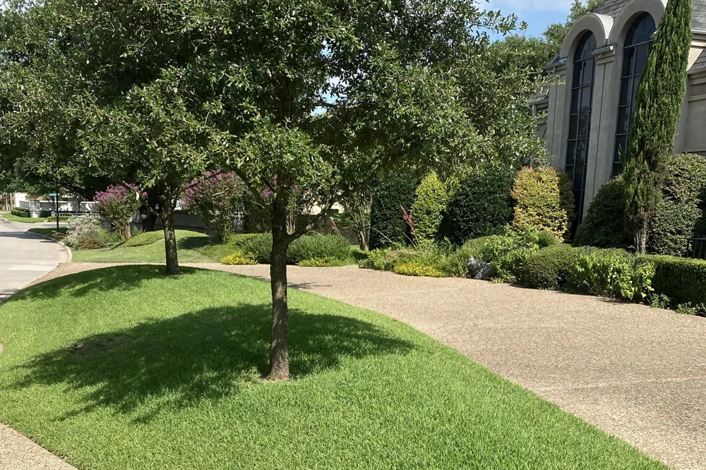 14320 Hughes Lane Dallas, TX 75254