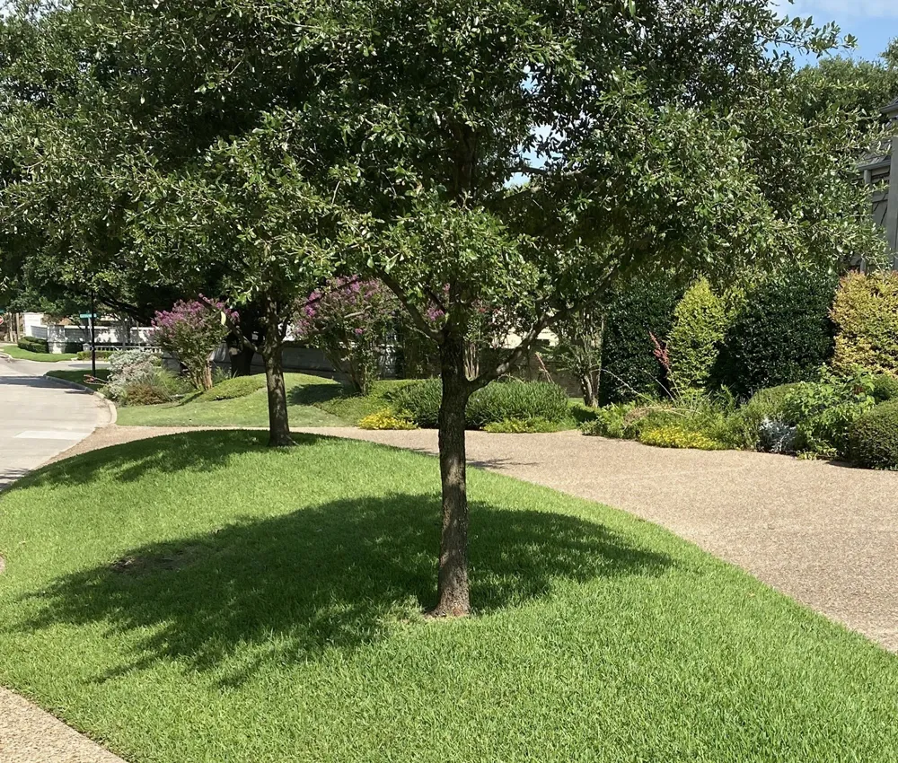 14320 Hughes Lane Dallas, TX 75254
