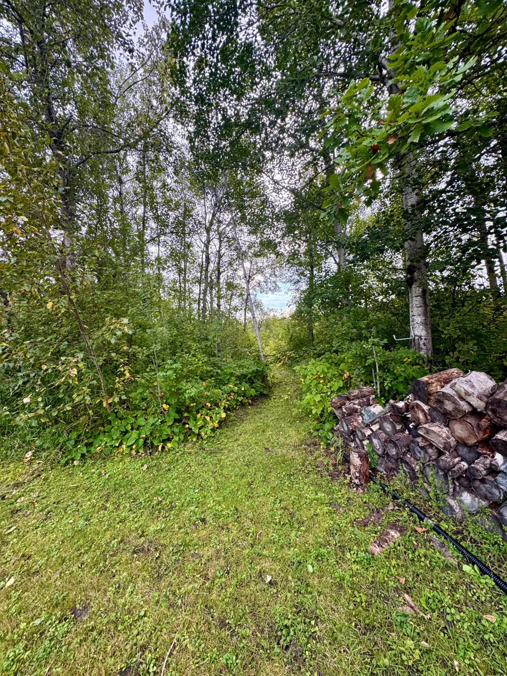 40427 State Highway 313 Warroad, MN 56763